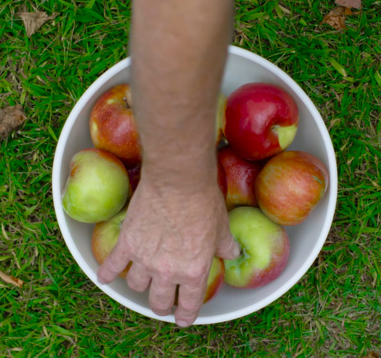 BIFF BUMPER: 2015